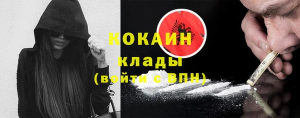 крисы Лагань