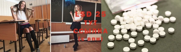 крисы Лагань