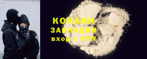 крисы Лагань