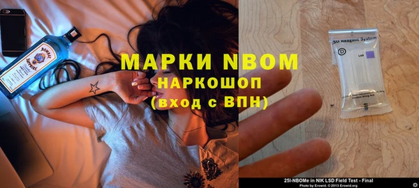 крисы Лагань