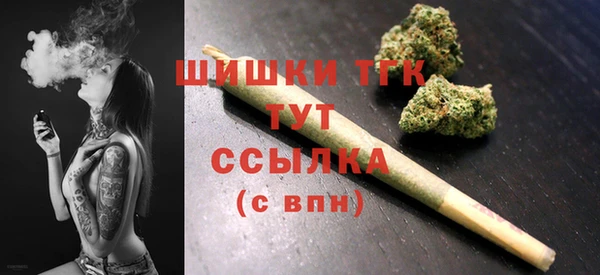 крисы Лагань