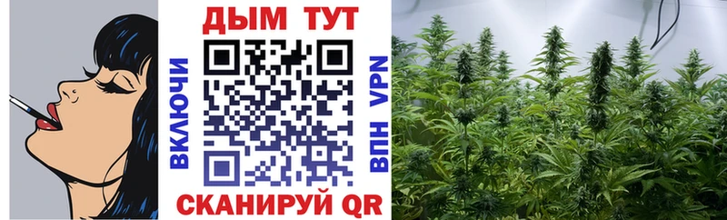 mega как войти  продажа наркотиков  Мосальск  Бошки Шишки MAZAR 